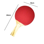 Kit 2 Raquetes De Ping Pong Tênis De Mesa Profissional Resistente + 1 Bola Sortidas