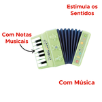 Acordeão Com Som Sanfona De Brinquedo Para Crianças Festas Junina Caipira Lembrancinhas sortidos