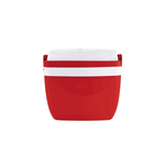 Produto Caixa Térmica 12 L Com Alça Cooler Compacto Para Bebidas Lanches Passeios Praia Lazer