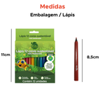 Mini Lápis De Cor 12 Cores Sustentável Sextavado Para Festa Infantil Brinde Escolar Revenda