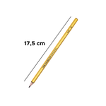 Kit Com 18 Lapis Preto Hb Dourado Resina Sextavado Material Escolar