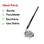 Lápis Grafite HB Sextavado Preto Sem Borracha
