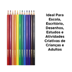 LAPIS DE Cor 12 CORES RESINA SEXTAVADO FLEX LEOELEO Para Escola Arte Revenda