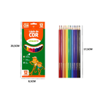 Kit Com 12 Pacotes de Lapis de Cor 12 Cores Sextavado Para Lembrancinha Revenda