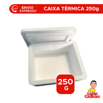 Caixa De Isopor Pequena Insulina 250ml Para Medicamentos