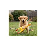 Kit 2 Mordedor Cachorro Galinha Borracha Apito Sonoro