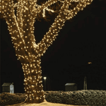 Pisca Pisca Led Para Decoração De Natal Branco Quente 9 Metros 127v 100 Lampadas De Fio Verde
