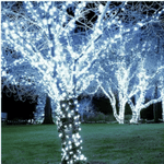 Pisca Pisca Led Branco 4m Fio Transparente