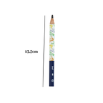 Kit 12 Lápis Big HB Triangular Dino Infantil Resina Sem Borracha Escolar Sortido Revenda