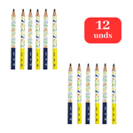 Kit 12 Lápis Big HB Triangular Dino Infantil Resina Sem Borracha Escolar Sortido Revenda