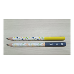 Kit 12 Lápis Big HB Triangular Dino Infantil Resina Sem Borracha Escolar Sortido Revenda