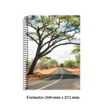 Kit 3 Cadernos Universitários Capa Dura 200 Folhas Sortidos