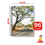 Kit 5 Cadernos Universitário 1 Matéria Com 96 Folhas De Capa Dura Para Revenda