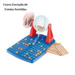 Jogo de Bingo 48 Cartelas Com Roleta Brinquedo Para Família e Amigos