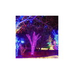 Pisca Pisca Led Rosa Para Decoração De Natal 8 Metros 127v 100 Lampadas De Fio Transparente