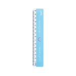 Régua Escolar 15cm Plástica Resistente Pequena Para Estojo Material Escolar