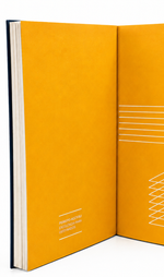 Livro Excelência para Obstinados