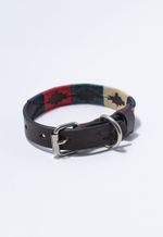 Coleira para Cachorro M 36cm Marrom Azul Bege Verde Vermelho
