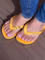Havaianas Top Amarela + Escrita Dourada + Tucano + Coqueiro