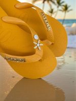 Havaianas Top Amarelo + Escrita Dourada + Concha + Estrela