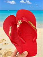 Havaianas Top Vermelho + Escrita Dourada + Concha + Estrela