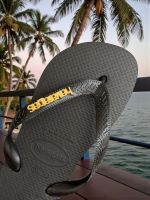 Havaianas Top Logo Metallic Preto/Dourada