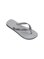 Havaianas Top Sparkle Cinza Gelo