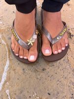 Havaianas Top Café + Escrita Dourada + Estrela, Concha, Tartaruga e Ponto de Luz