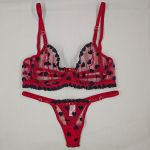 Conjunto Vermelho em Tule Bordado com Corações | Sutiã com Aro Sem Bojo