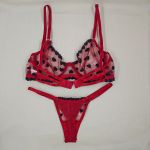 Conjunto Vermelho em Tule Bordado com Corações | Sutiã com Aro Sem Bojo