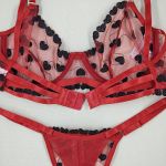 Conjunto Vermelho em Tule Bordado com Corações | Sutiã com Aro Sem Bojo