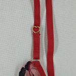 Conjunto Vermelho em Tule Bordado com Corações | Sutiã com Aro Sem Bojo