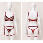 Conjunto Vermelho em Tule Bordado com Corações | Sutiã com Aro Sem Bojo