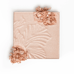 Iluminador MegaGlo™ Highlighting Powder Wet'n'Wild