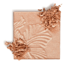 Iluminador MegaGlo™ Highlighting Powder Wet'n'Wild