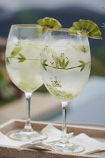 Taça Flora