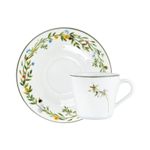 Set  Xícaras De Chá  Porcelana Flora