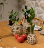 Vaso Bojudo Treliça Natural P