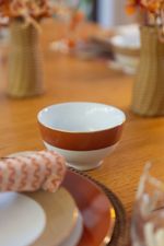 Bowl Porcelana Paint Terracota