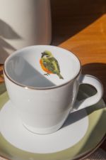 Xicara Porcelana Sabiá Verde