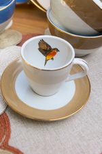 Xícara Porcelana Sabiá Marrom