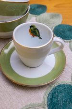Xicara Porcelana Sabiá Verde