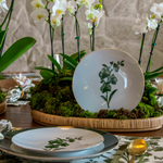 Prato Sobremesa Orquídea Verde Buquê