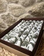Kit 6 Lugares Americanos Estampado Orquídea
