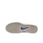 Tênis Nike SB Vertebrae 