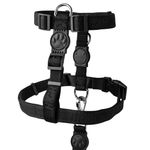 Dog Collar High Black