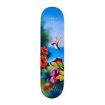 Shape April Maple Guy Mother Nectar 8.0
