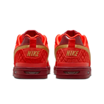 Tênis Nike SB Zoom Air Paul Rodriguez 1 