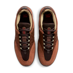 Tênis Nike SB Vertebrae 