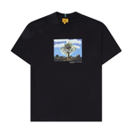 Camiseta Class Premium x Castelo Ra-Tim-Bum Árvore Black